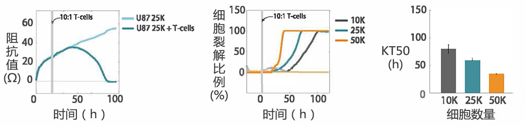 Axion Biosystems MAESTRO Z實(shí)時(shí)無(wú)標記細胞分析儀