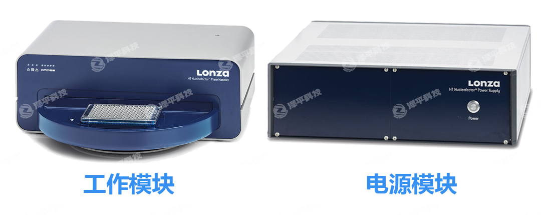 Lonza Nucleofector 384孔高通量細胞核轉染系統電源模塊工作模塊 北京澤平