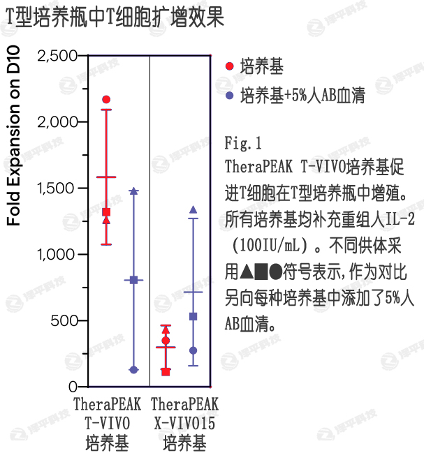 T-VIVO培養基在無(wú)血清條件下,提供更好的T細胞擴增效果 北京澤平