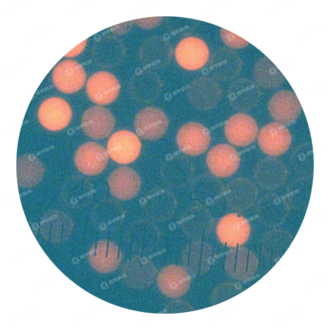 Thermo Scientific Cyto-Cal流式校準微球代理商 北京澤平