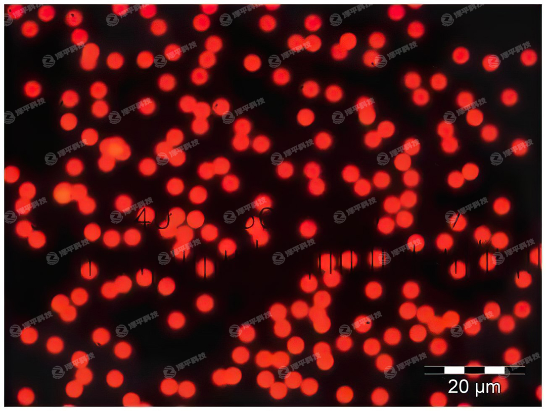 Thermo Scientific Fluoro-Max紅色熒光微粒代理商 北京澤平