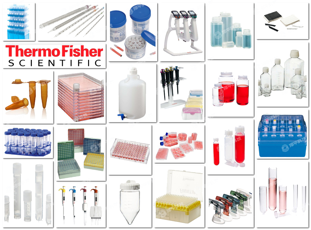 ِĬwThermo Fisher (sh)ҺĲ,B,Һ,ߙzy ̱ƽ