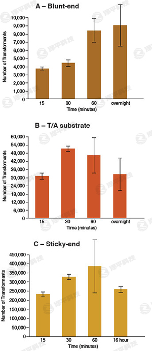 NBEDBøElectroLigase؛̖M0369 ̱ƽ