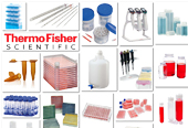 ِĬwThermo Fisher (sh)ҺĲ,Bƿ,Һ^,ø˰